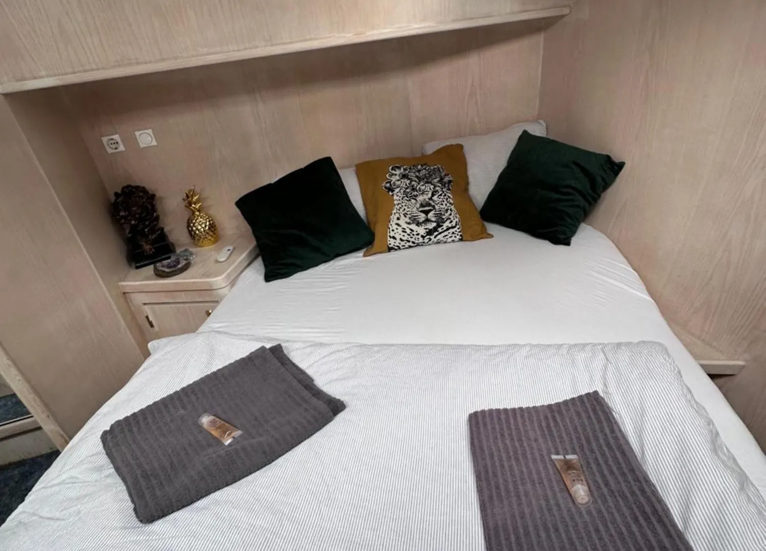 מלון אמסטרדם Luxury Houseboat 0*,